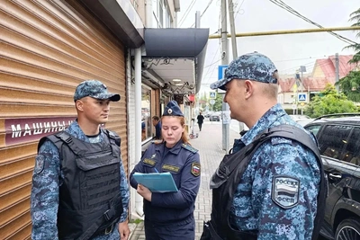 19 штрафов заставили жительницу Сочи снести сарай, конюшню и забор