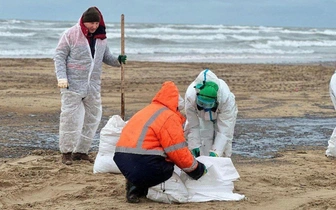 «Острая интоксикация»: после разлива мазута в Черном море нашли уже 19 погибших дельфинов