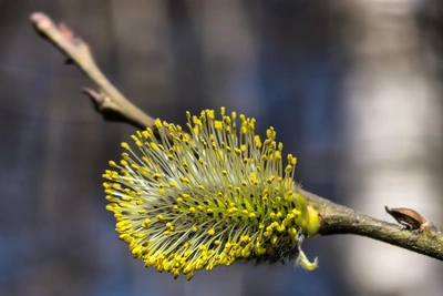 Погода в Перми на выходные: прогноз Андрея Шихова