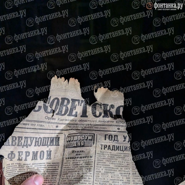 Источник: Федор Данилов / «Фонтанка.ру»