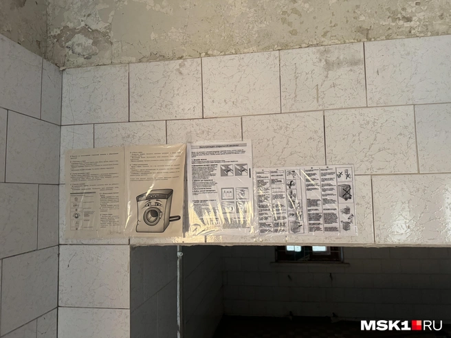 Источник: Алина Мельникова / MSK1.RU