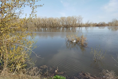 Мурманская область усиливает подготовку к весеннему половодью