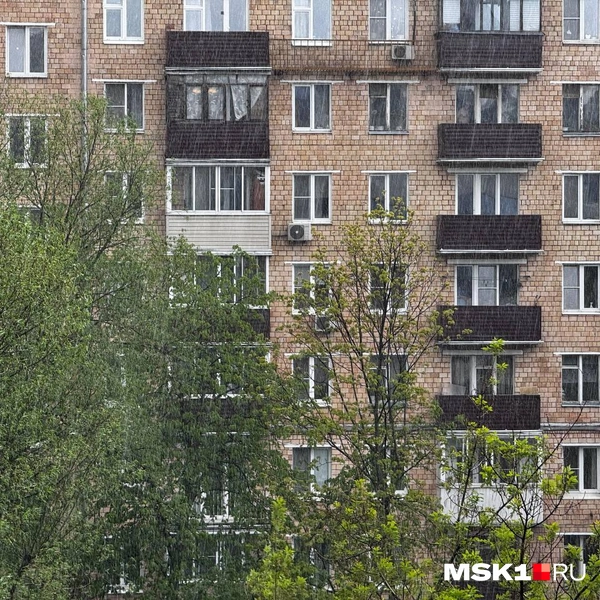 Источник: Дмитрий Толстошеев / MSK1.RU