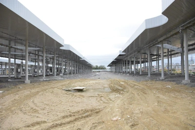 Парк электробусов на Ржевке ждет перезапуск после экспертизы