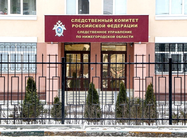 В Нижегородской области ведётся расследование уголовного дела, связанного с предоставлением земельных участков многодетным семьям | Источник: Наталья Бурухина / NN.RU