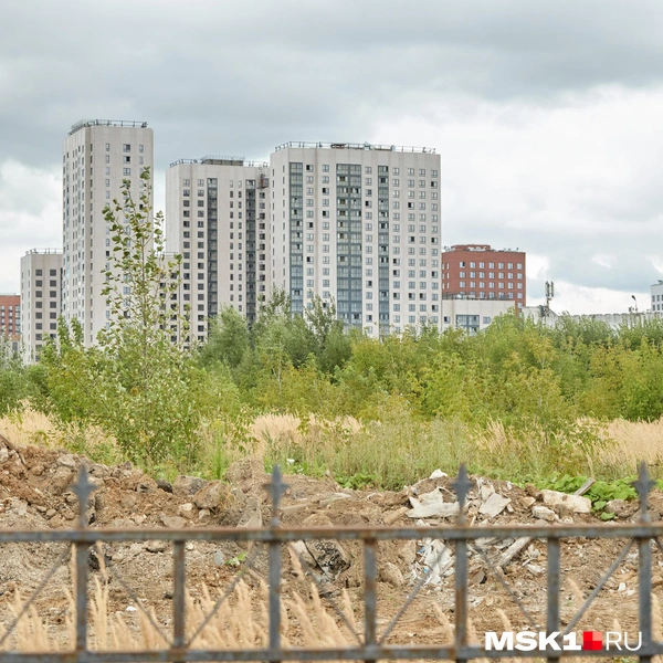 Власти Москвы на протяжении нескольких лет не могли придумать, что делать с такой большой территорией | Источник: Дмитрий Толстошеев / MSK1.RU
