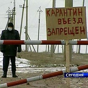 Фото №1 - В России вспышка птичьего гриппа