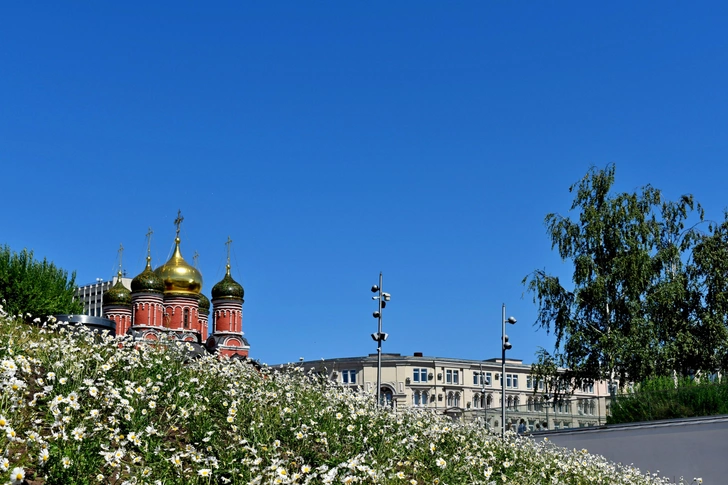 В парке «Зарядье» стартовала новая волна цветения