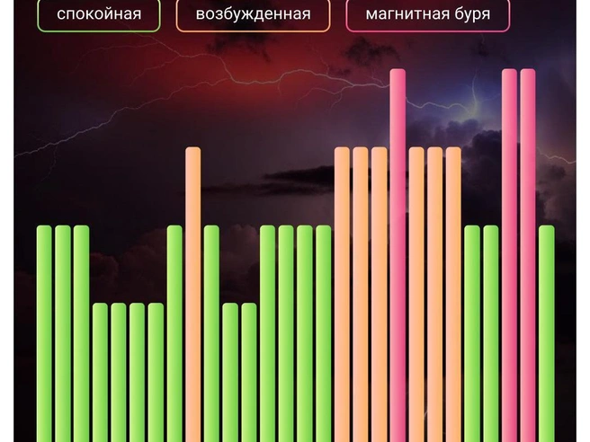 Источник: Евгения Бикунова / Городские медиа