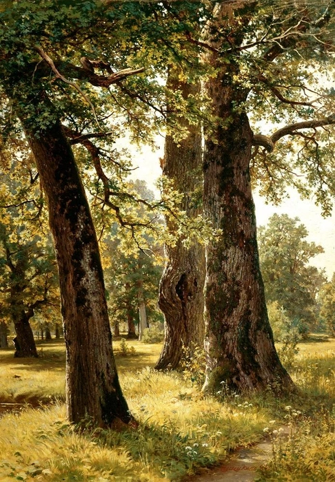 Шишкин И. И. Дубы | Источник: Государственный Русский музей
