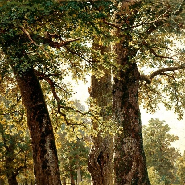 Шишкин И.&nbsp;И.&nbsp;Дубы | Источник: Государственный Русский музей