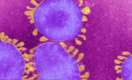 Эксперты ВОЗ не признали новый коронавирус глобальной угрозой человечеству
