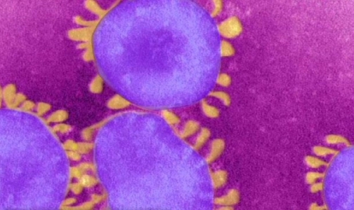Эксперты ВОЗ не признали новый коронавирус глобальной угрозой человечеству