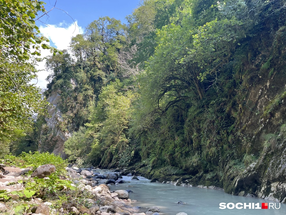 Река Хашупсе мирная, пока не пошел дождь в горах | Источник: Анна Грицевич / SOCHI1.RU