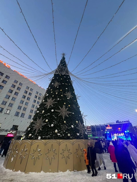 Источник: Александра Балаба / 51.RU