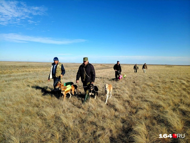 Начало псовой охоты | Источник: Архив Светланы Подоляко