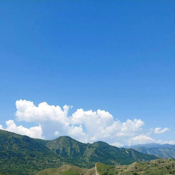 Кавказ великолепен | Источник: читательница E1.RU Юлия