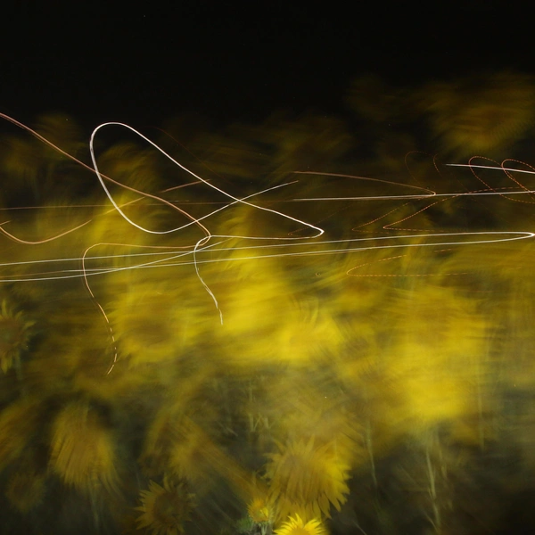 Источник: Наталья Пронина