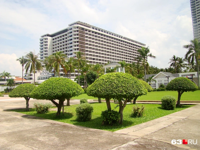 Историю активно обсуждают в Сети | Источник: Роман Данилкин / 63.RU