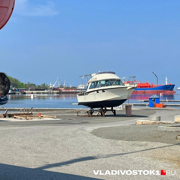 Источник: Елена Буйвол / VLADIVOSTOK1.RU