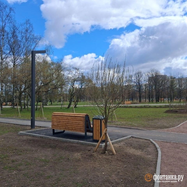 Вдоль дорожек установили современные фонари и новые скамейки | Источник: Анна Мотовилова / «Фонтанка.ру»