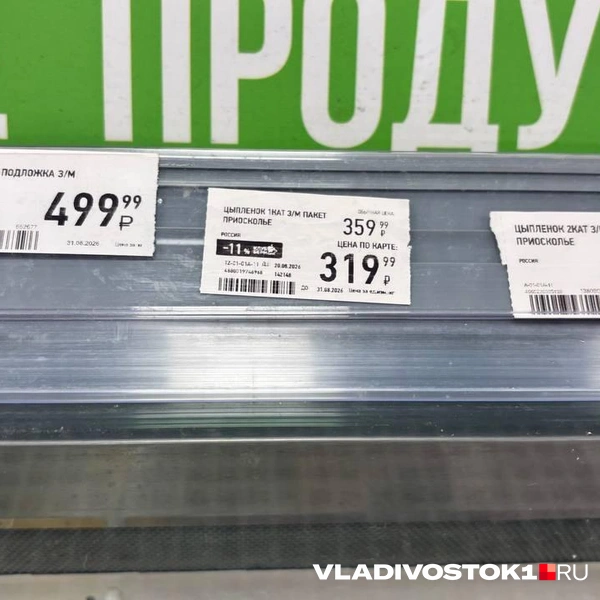 Источник: Елена Буйвол / VLADIVOSTOK1.RU