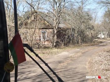 Чтобы попасть внутрь, надо пробраться сквозь деревья | Источник: Михаил Мечев / MSK1.RU