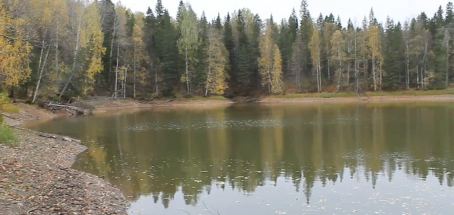 Вокруг красивая природа | Источник: Любовь Морозова / Youtube.com