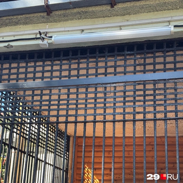 Источник: Валерия Богатырёва / 29.RU