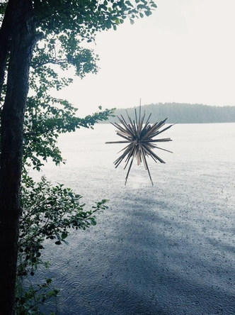 Art Safari в загородном комплексе We Lodge. | Источник: Дмитрий Егоров