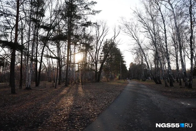 По словам Руслана Щербакова, его парк — самый чистый в городе | Источник: Евгений Софийчук / NGS55.RU