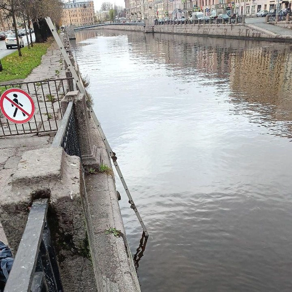 Источник: Кошкиспас