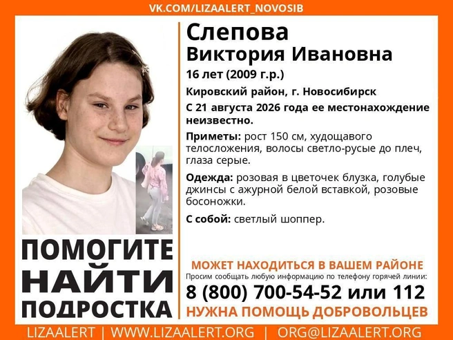 Ориентировку опубликовали волонтеры отряда «ЛизаАлерт» | Источник: vk.ru/lizaalert_novosib 