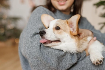 «Мой питомец — мой ребенок»: нужно ли воспринимать уход за домашними животными как родительство