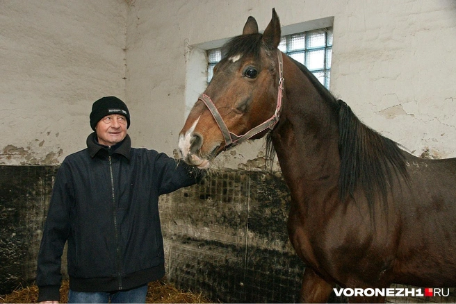 Николай Михайлович Чернышов из своих 72 лет Чесменскому конезаводу посвятил 45 | Источник: Александр Зинченко / Voronezh1.ru