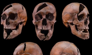 Что ел, как жил и кем был убит: раскрыто дело средневекового герцога из династий Арпадов и Рюриковичей