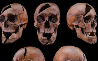 Что ел, как жил и кем был убит: раскрыто дело средневекового герцога из династий Арпадов и Рюриковичей