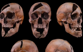 Что ел, как жил и кем был убит: раскрыто дело средневекового герцога из династий Арпадов и Рюриковичей