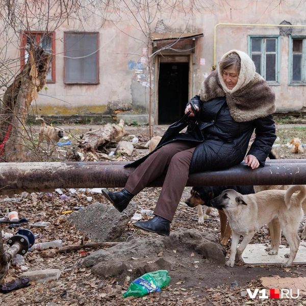 Для того чтобы выйти со двора, пенсионерке приходилось перелазить через трубы | Источник: Алексей Волхонский / V1.RU