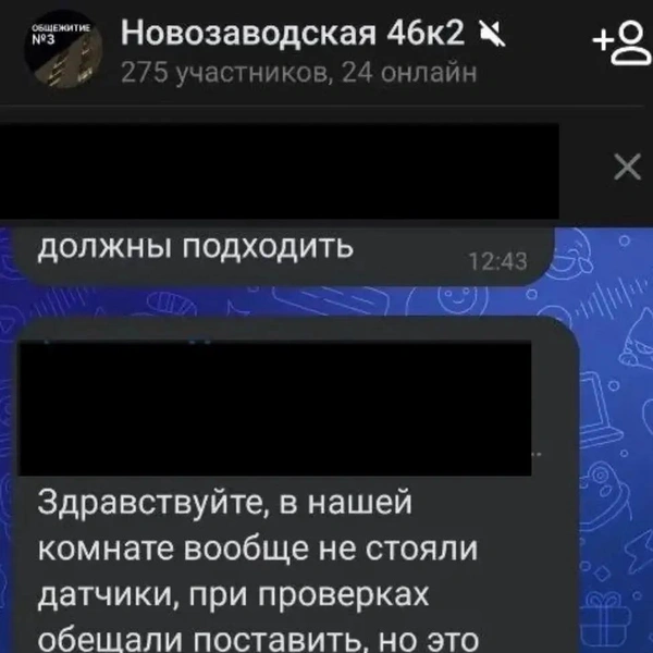 Фрагменты переписки из чата предоставили студенты ЗабГУ | Источник: Очевидец