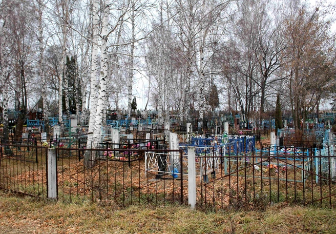 Рязань вошла в число лидеров России по убыли населения | ya62.ru