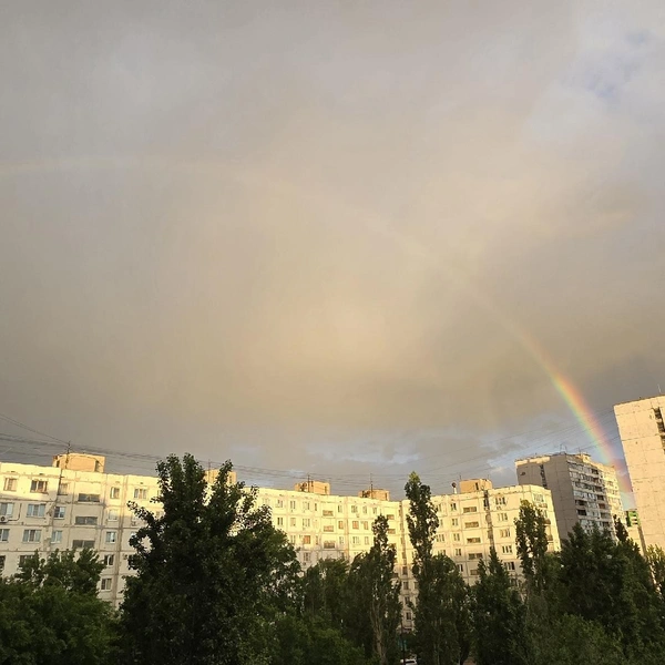 Источник: Читатель Voronezh1.ru