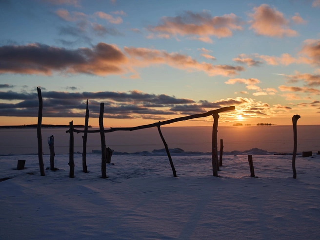 Источник: Александр Ощепков / NGS.RU