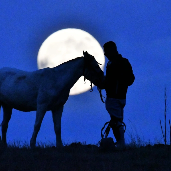 Турция, ил (провинция) Карс | Источник: Huseyin Demirci/Anadolu via Getty Images