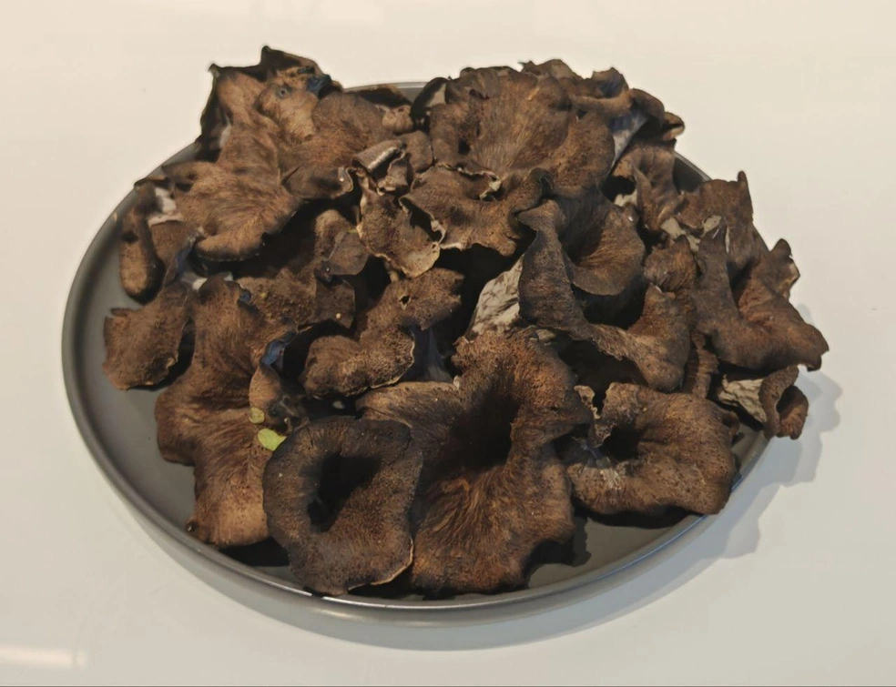 А вы пробовали такие грибы? | Источник: Грибники Тюмени / Telegram