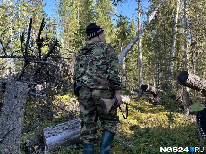 На переходе | Источник: Алексей Тайганавт / NGS24.RU