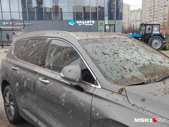 Источник: Михаил Мечев / MSK1.RU