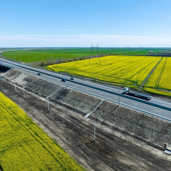 Сейчас вдоль дороги можно застать цветение рапса  | Источник: ГК «Автодор»