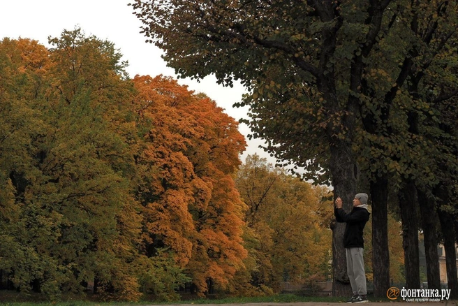 Погоду в Петербурге немного меняет гребень антициклона. Москва мёрзнет | Источник: Михаил Огнев / «Фонтанка.ру»
