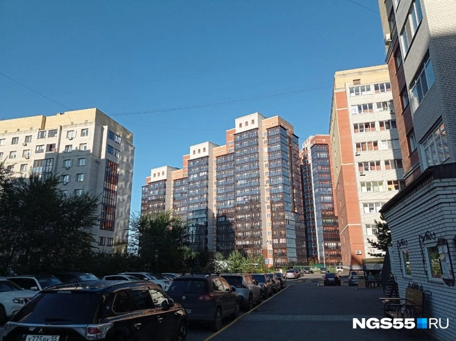 Если нет возможности получить семейную ипотеку, то можно привлечь донора | Источник: Сергей Энквист / NGS55.RU